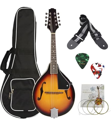■アリア マンドリン MANDOLIN ARIA AM-20 弦楽器 619ei216NiL._AC_UF350,